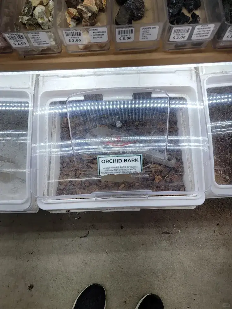 DIY Alocasia Soil Mix (Looser Version) — My Personal Blend