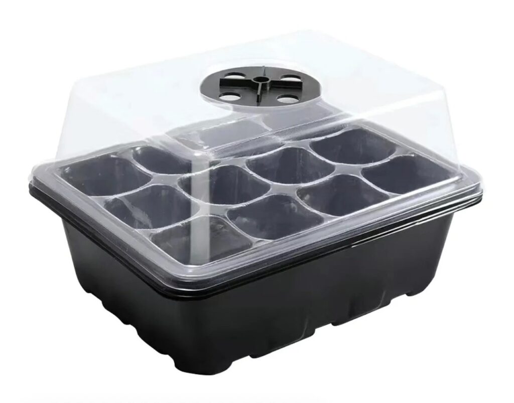 Clear-lid seed propagation tray with ventilation, commonly used to create high humidity for Alocasia corms.