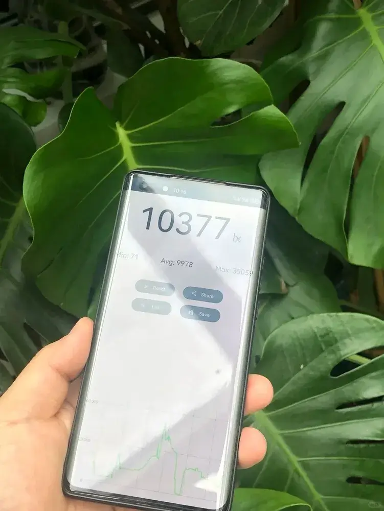 smartphone’s light meter app