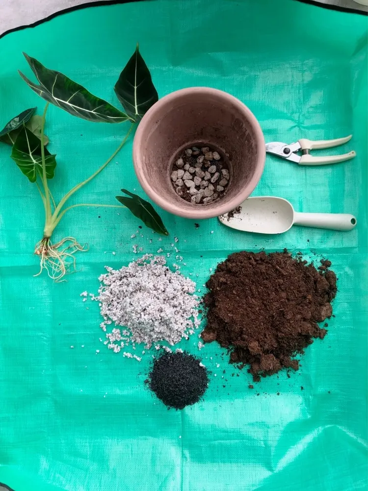 System 3 — Soil Let Roots Breathe