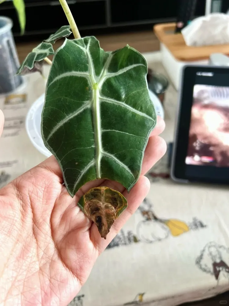 Why This Happens Moisture Stays Where It Shouldn’t
