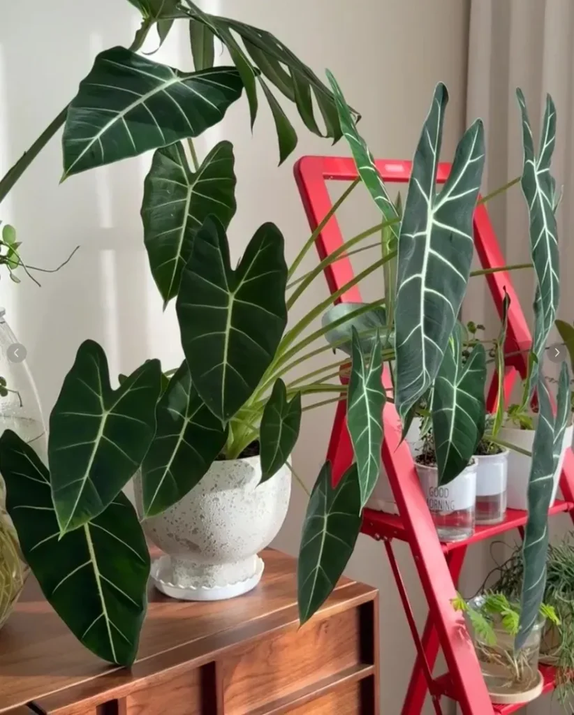 Winter isn’t a season for growth — it’s a season for survival.