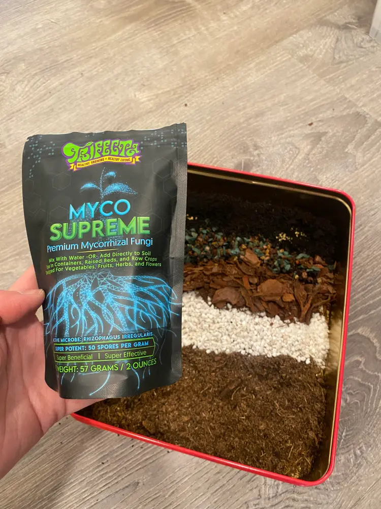 Chunky soil mix for Alocasia Cuprea with bark, perlite, coco fiber, and mycorrhizal fungi