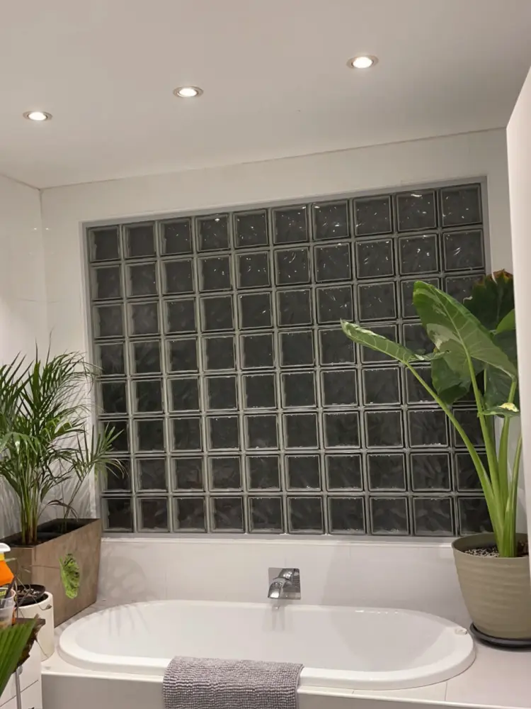 wide view of a bathroom with a large Alocasia macrorrhizos taking up significant indoor space