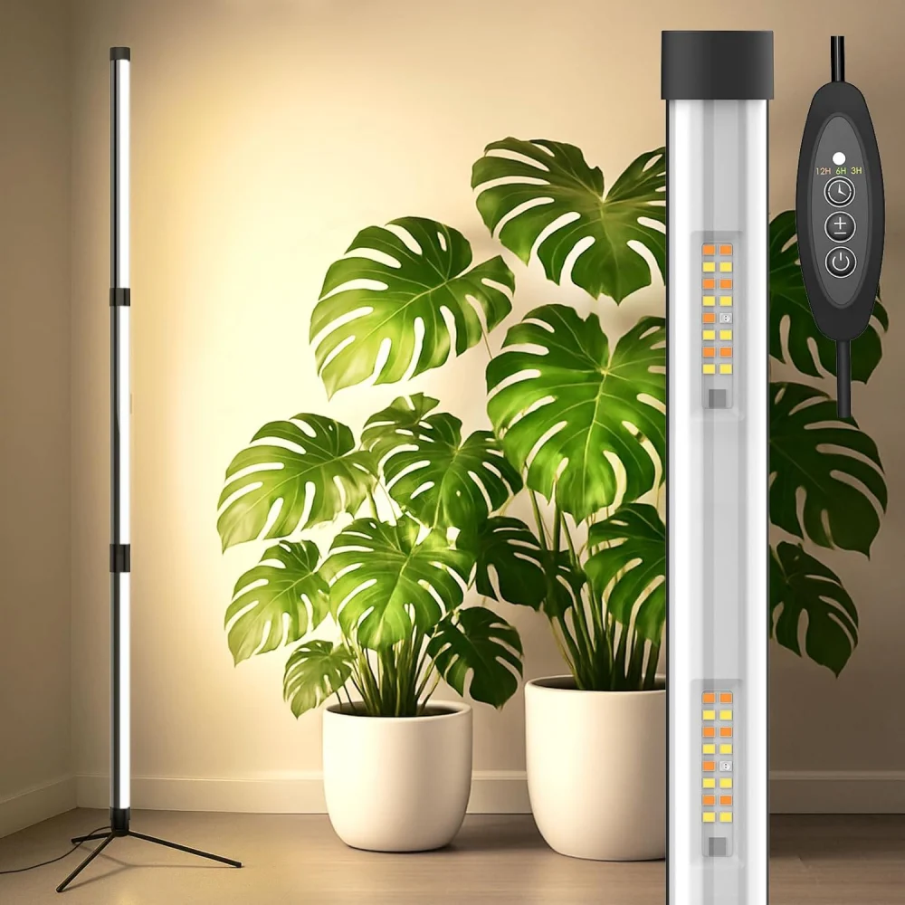 Practical Backup Grow Light for Medium Alocasia