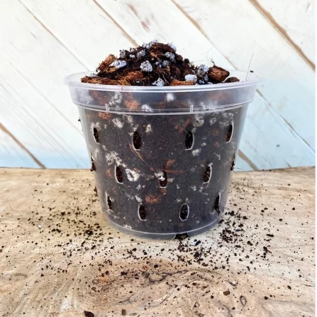 Ready-Made Chunky Aroid Mix