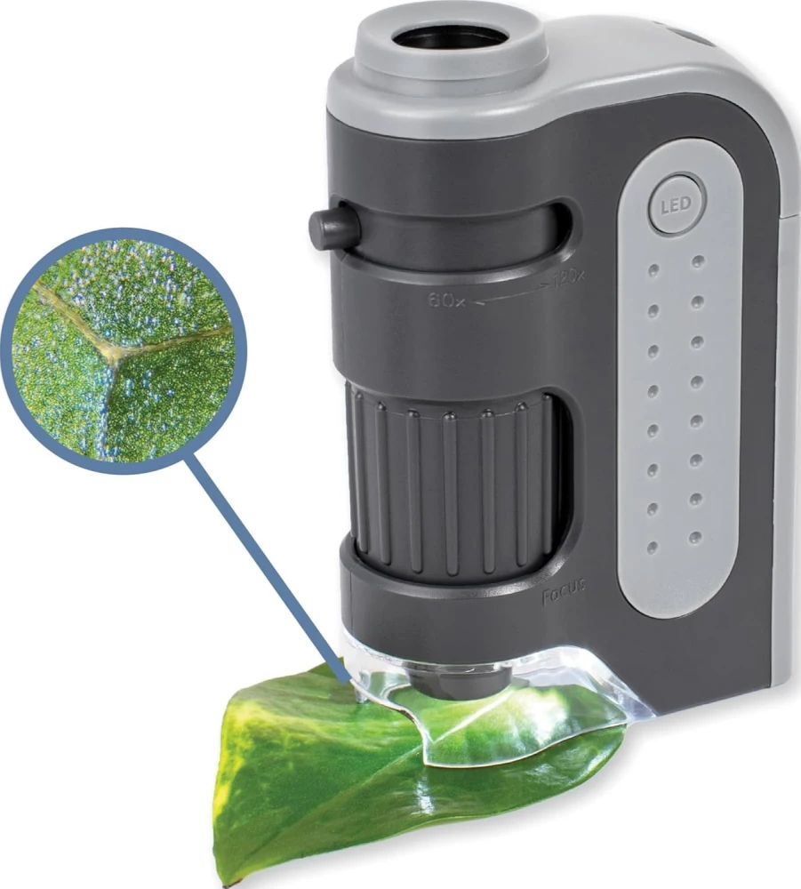 Carson MicroBrite Plus Pocket Microscope