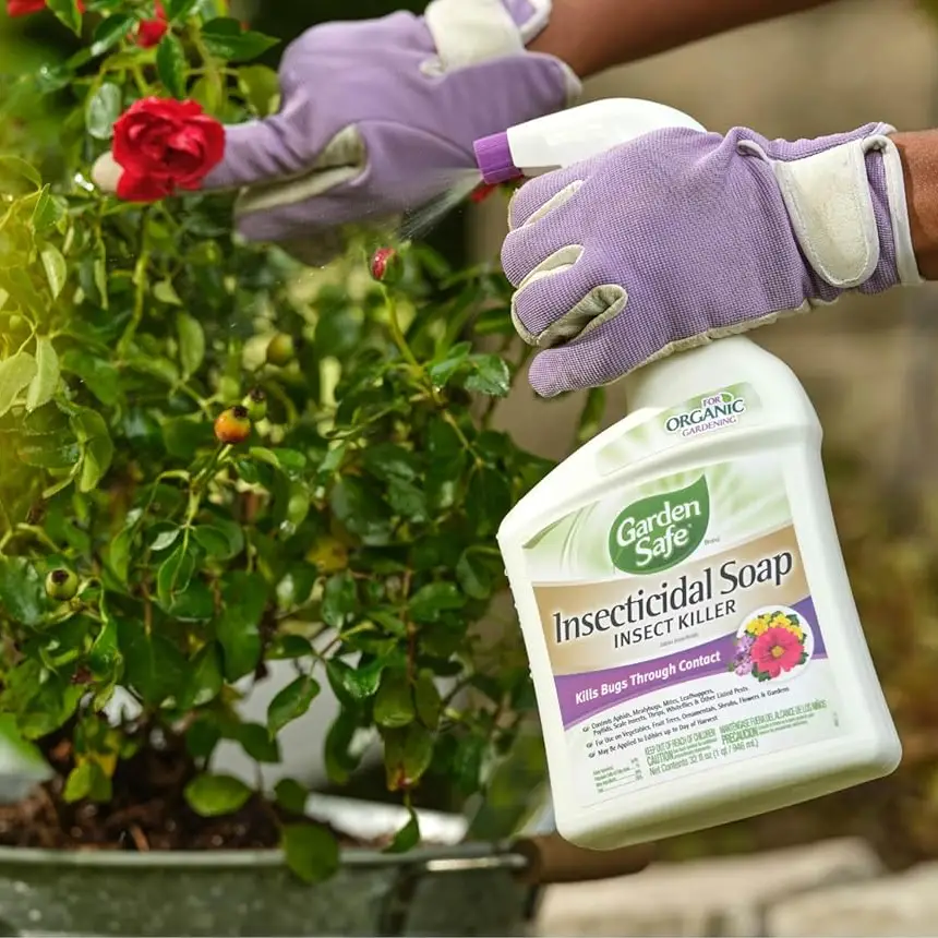 Garden Safe Insecticidal Soap Insect Killer Ready-to-Use