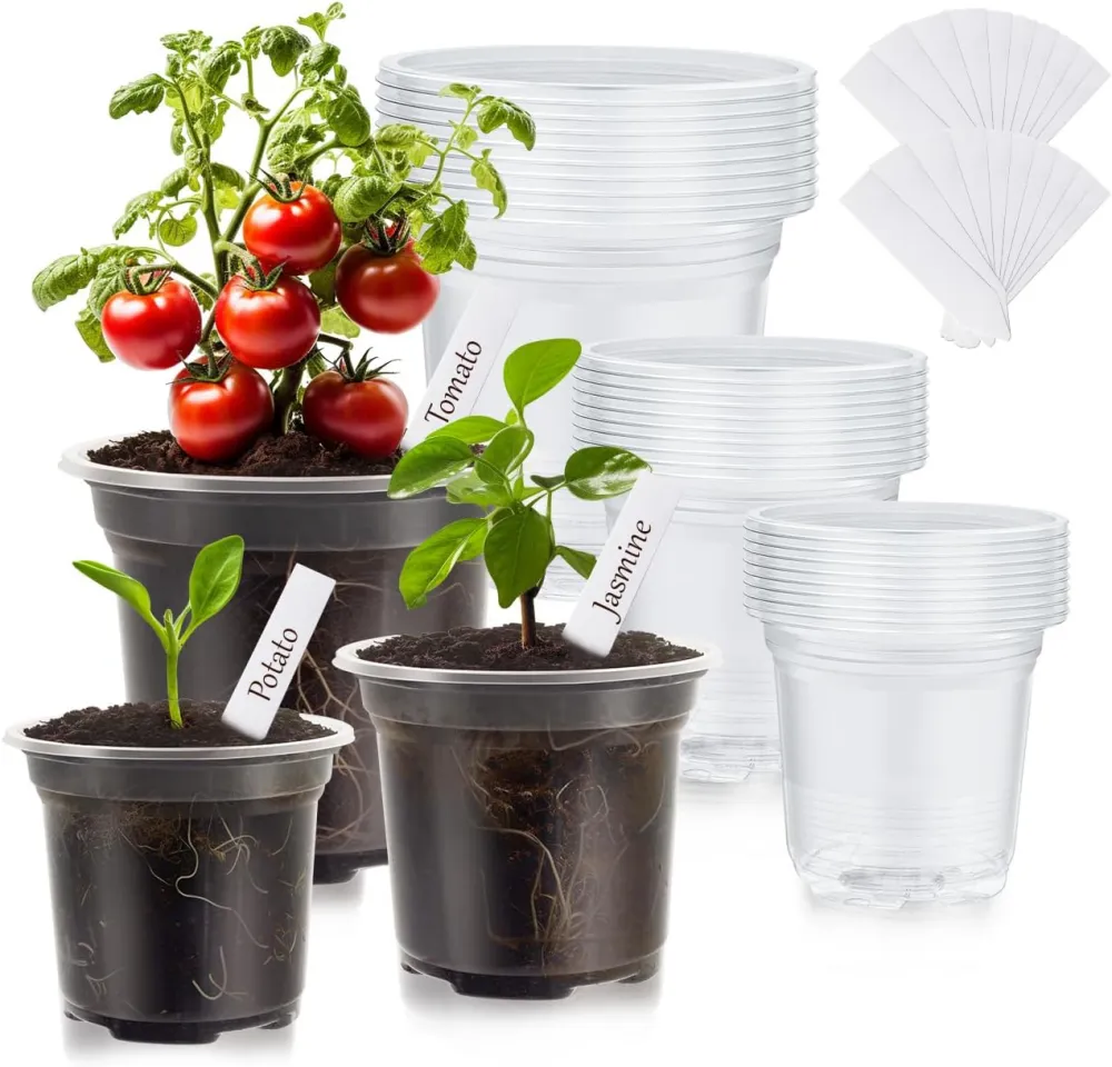 WandaQueen 30 Packs Clear Nursery Pots