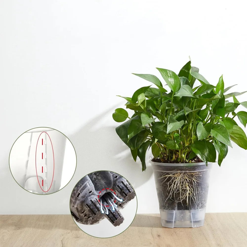 When a Self-Watering Pot May Not Be the Best Choice